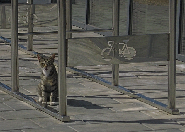 ���������� .