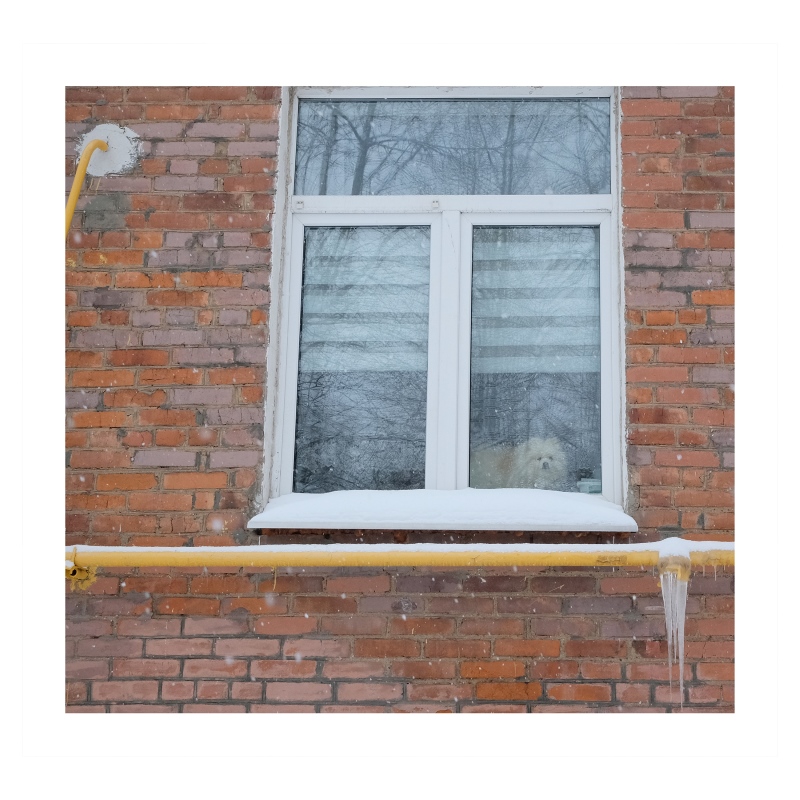 ���������� ������