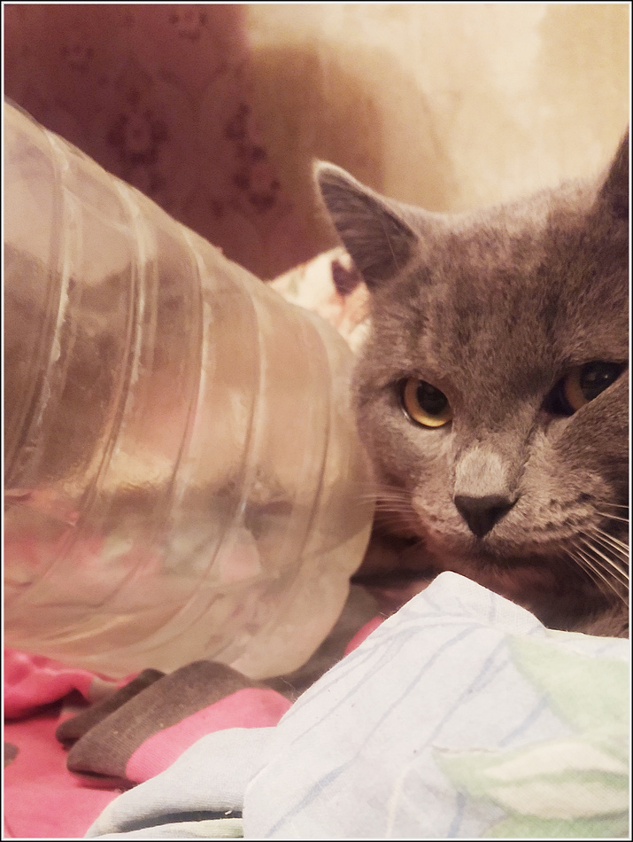 ���������� �������� ����...