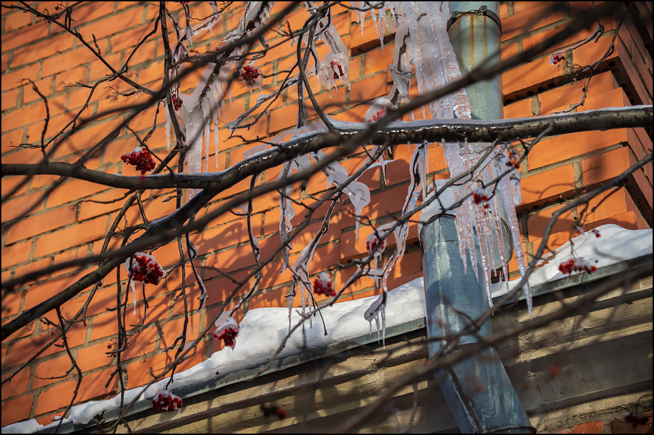 ���������� ������ �������