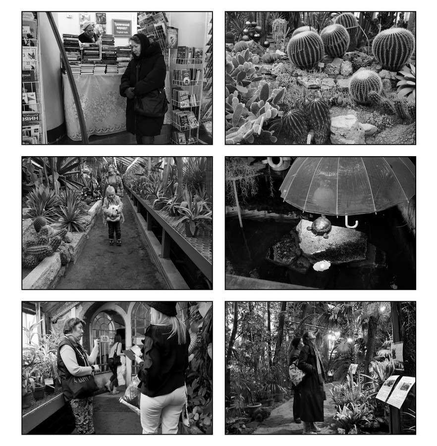 ���������� ������������ ���������.