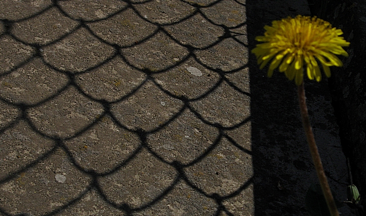 ���������� .