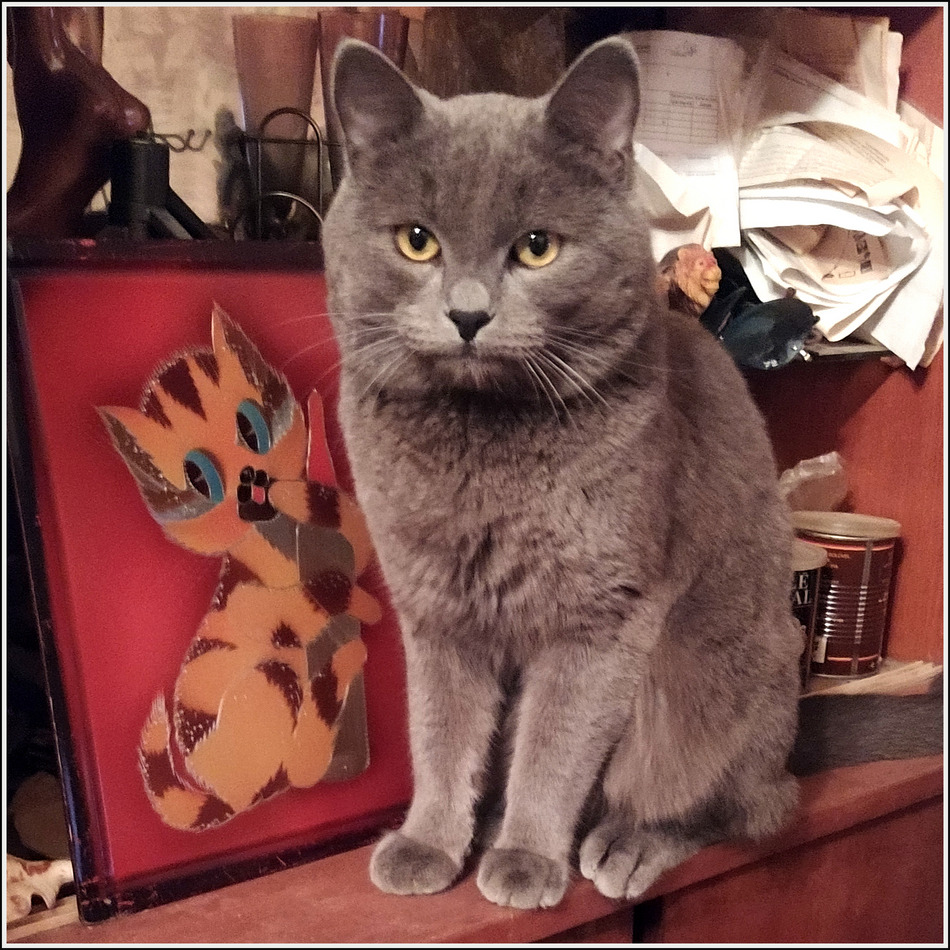 ���������� �����...