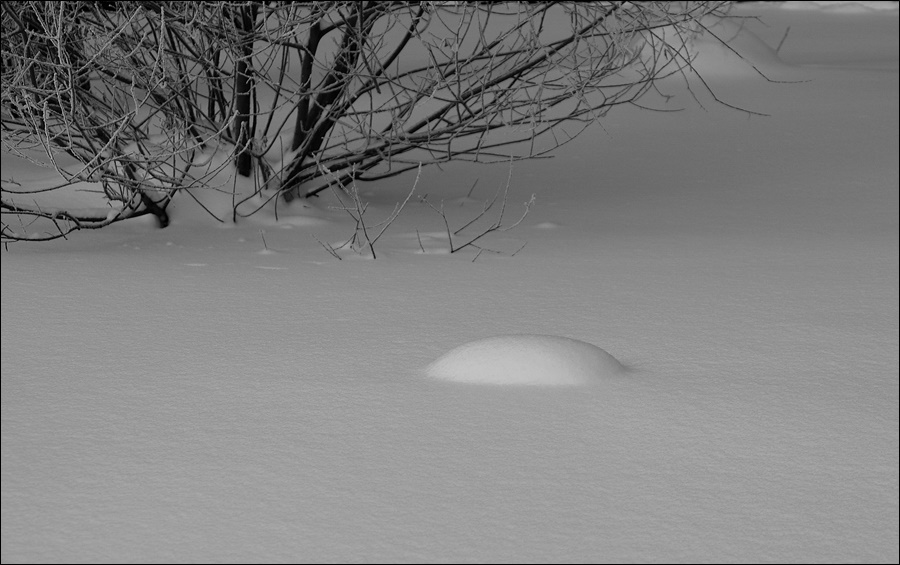 ���������� ***