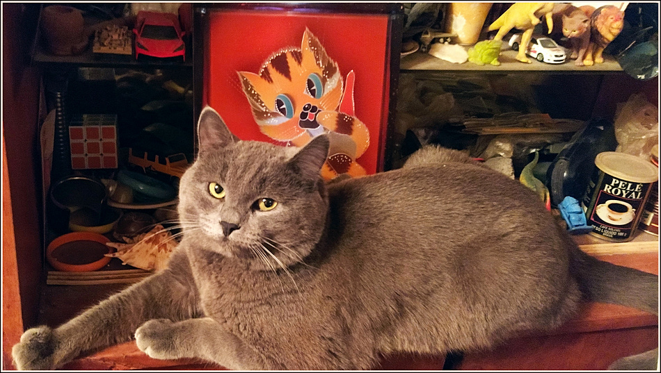 ���������� �����...