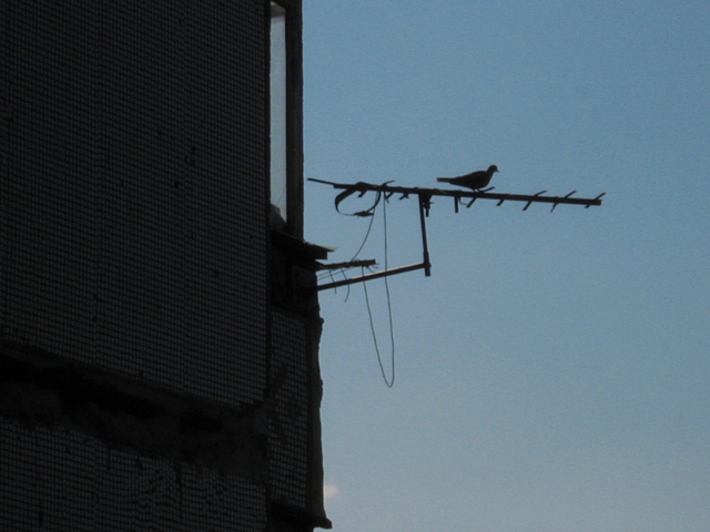 ���������� .