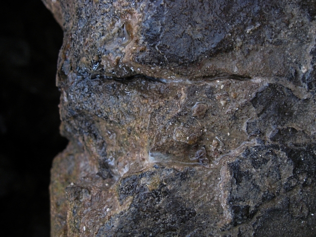 ���������� .