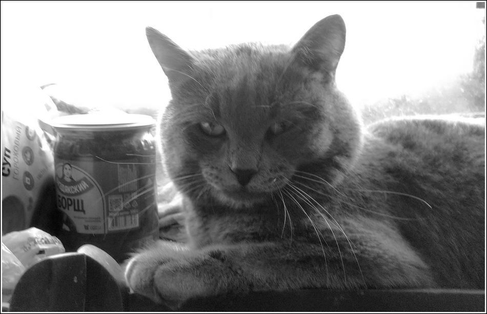 ���������� ��� � ����...