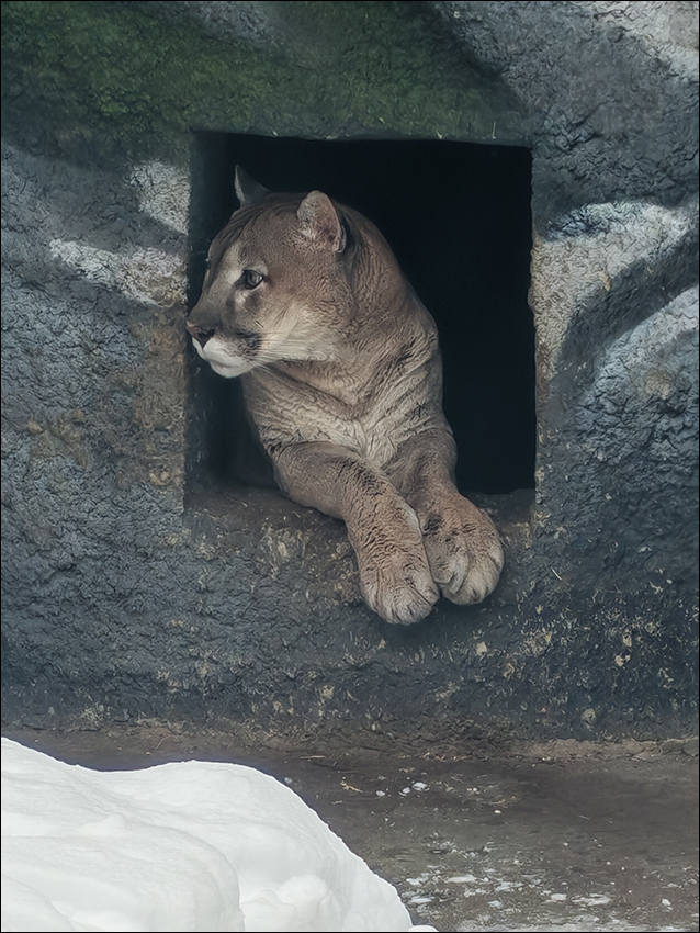 ���������� ���� ��������