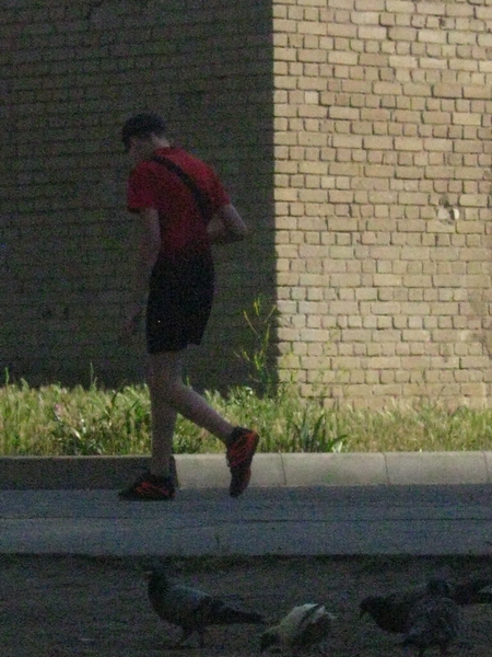 ���������� .