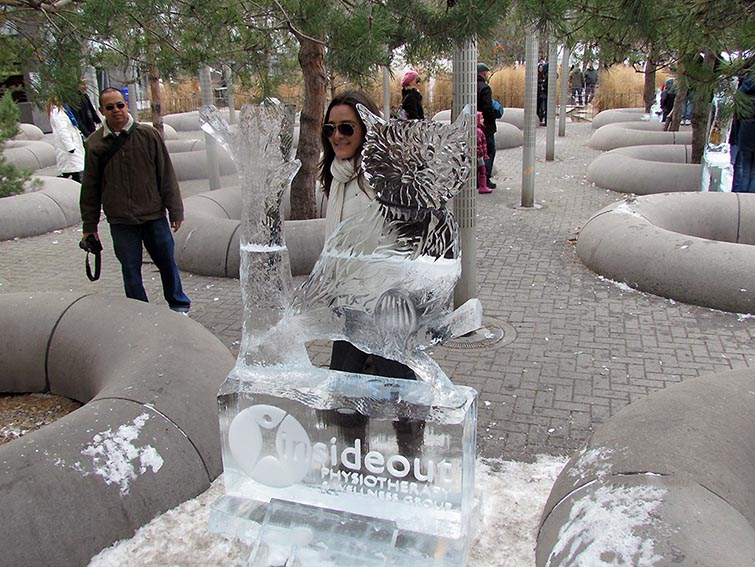 ���������� ����