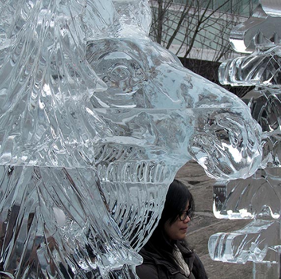 ���������� �������