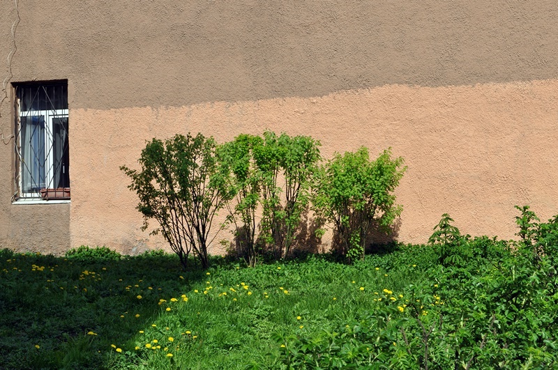 ���������� ...� ��� ��� ������