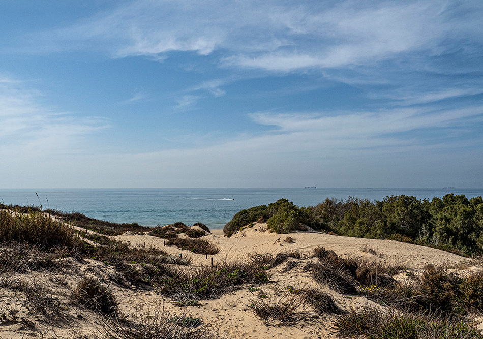 ���������� ���� � ����