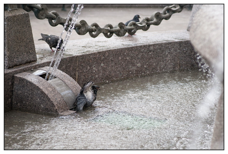 ���������� ������� ������