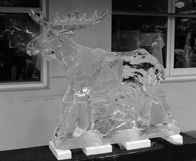 ���������� ����������