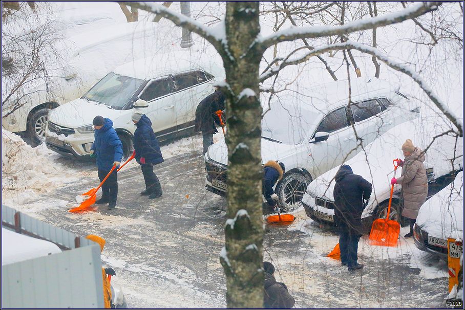 ���������� ������ �������