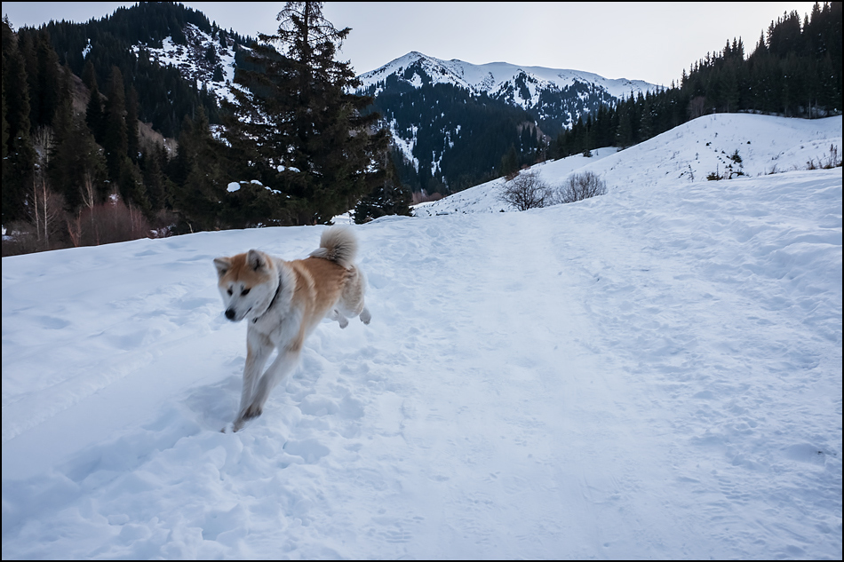 ���������� ������