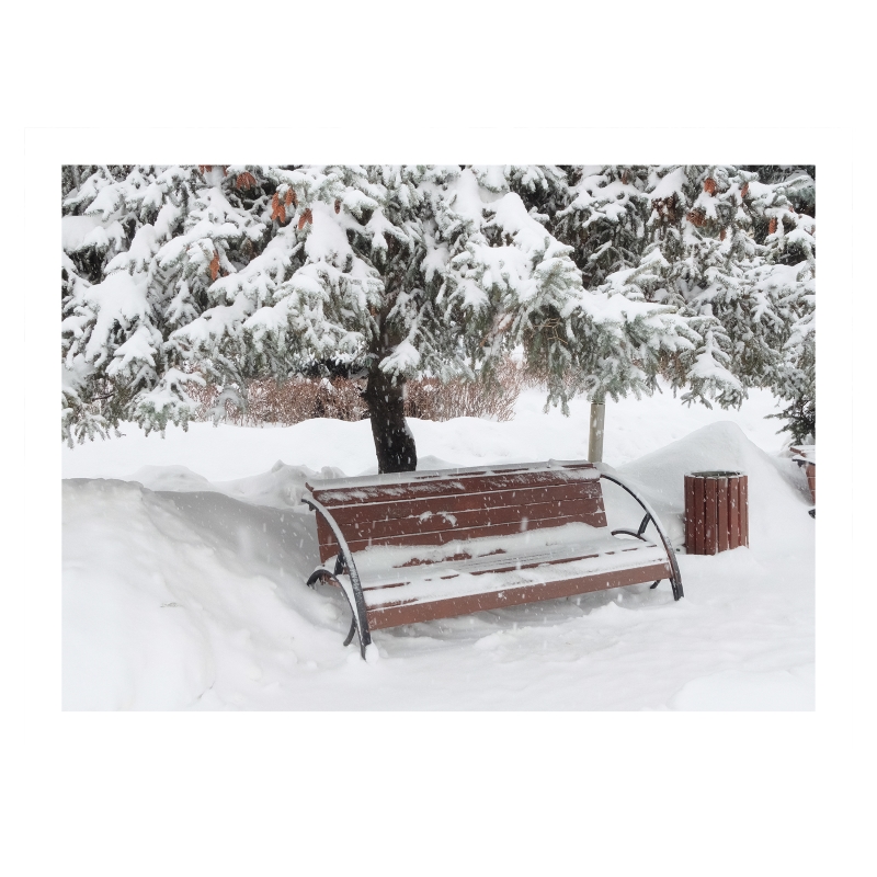 ���������� ����� �������� 