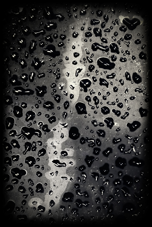 ���������� ����� ޣ����� �����