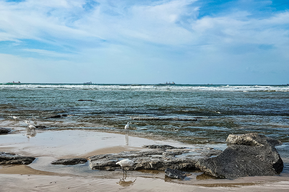 ���������� �ģ� ����� �� �������,