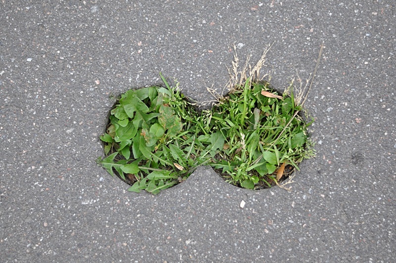 ���������� ***