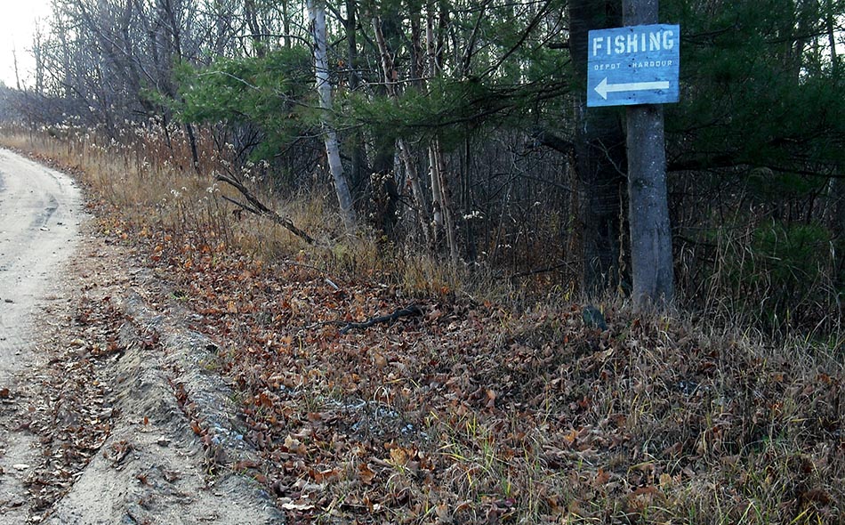 ���������� ****