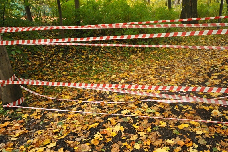 ���������� ***