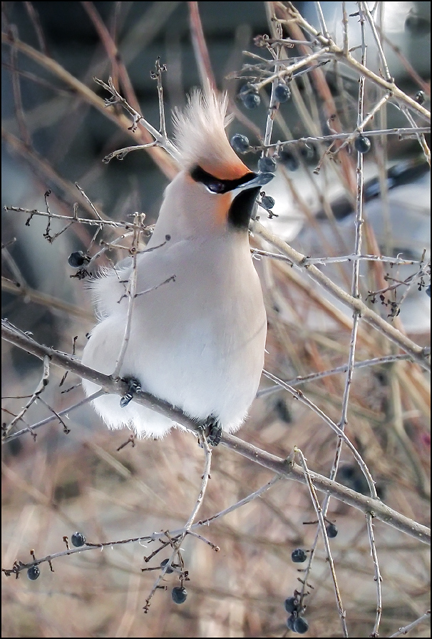 ���������� ��� �� �������!