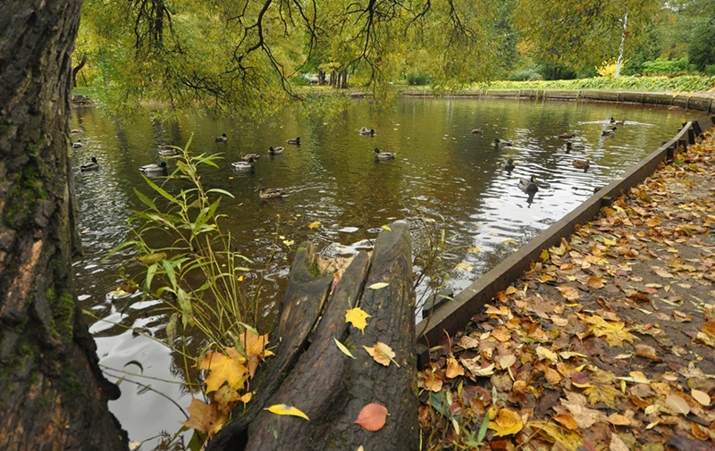 ���������� �..