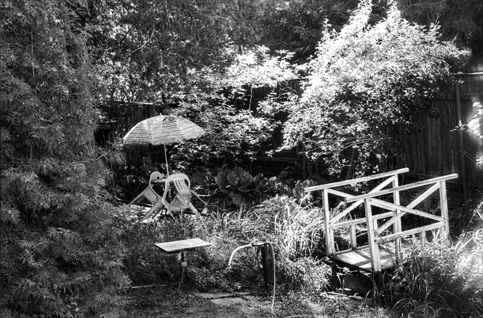 ���������� �������� �� ������ ����