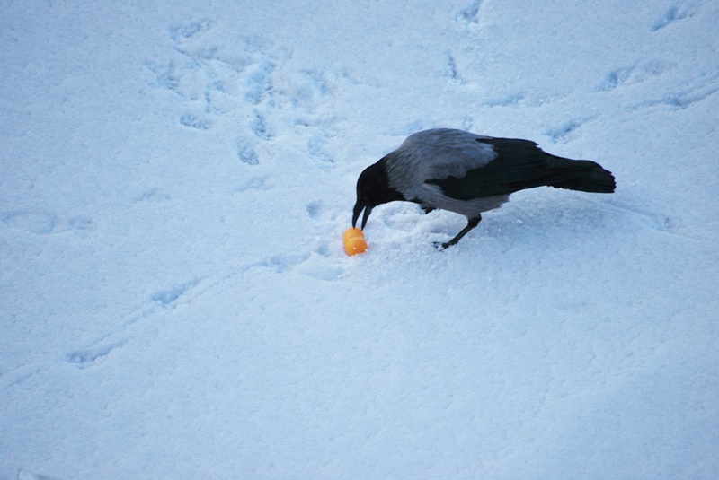 ���������� �� ����� ������...