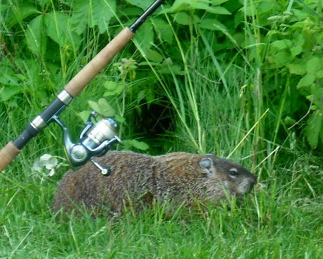 ���������� ����� ������� �����