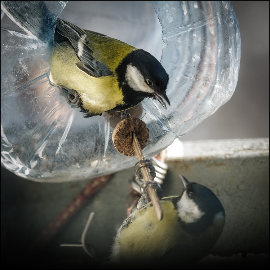 ���������� ���� ������?!