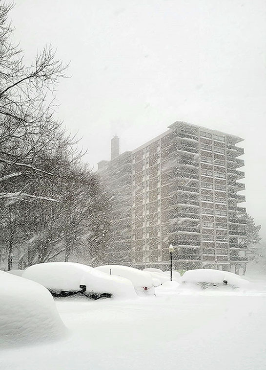 ���������� �� ���� ��� �� ����