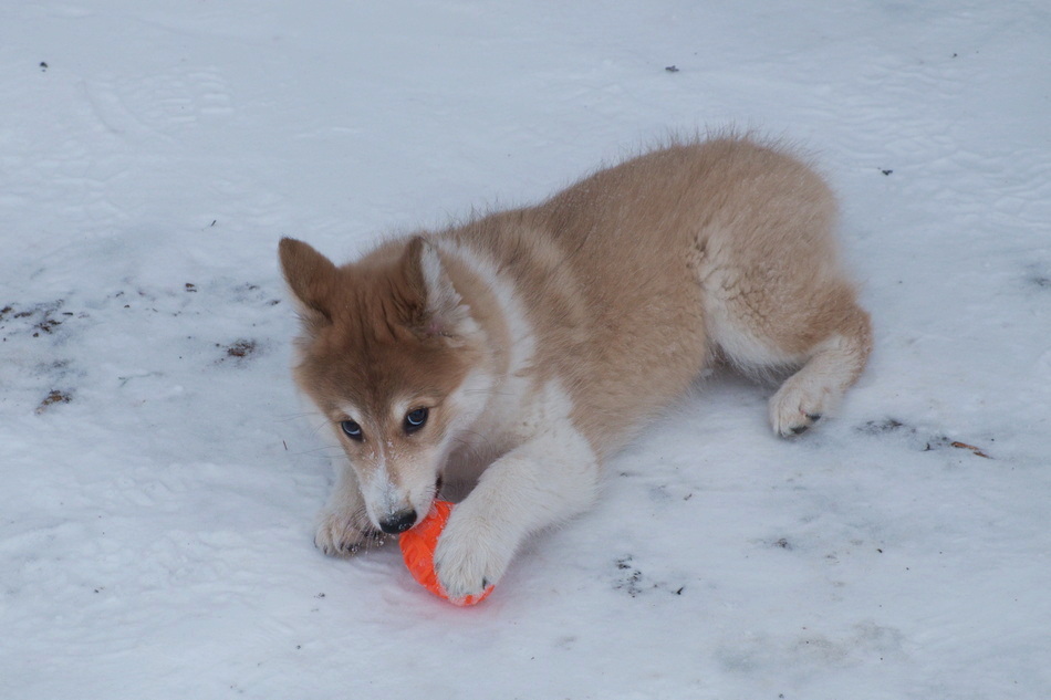 ���������� �������� ������...