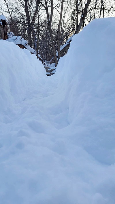 ���������� ������� � ����� �������