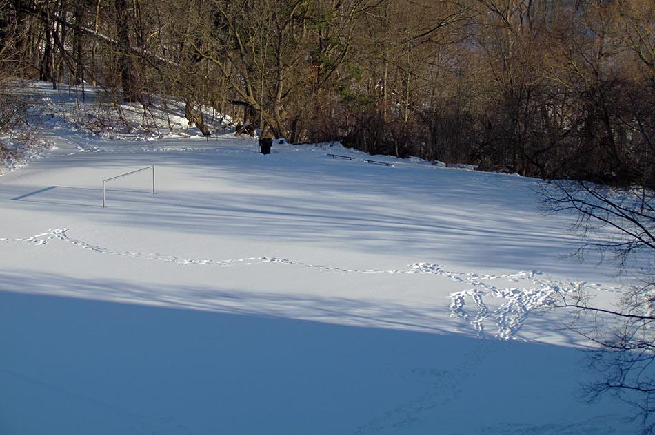 ���������� ����� ������. ����� � �������