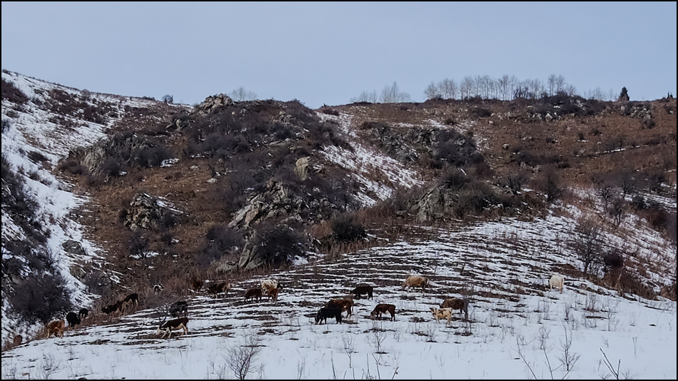 ���������� �� ���� ������� ��...