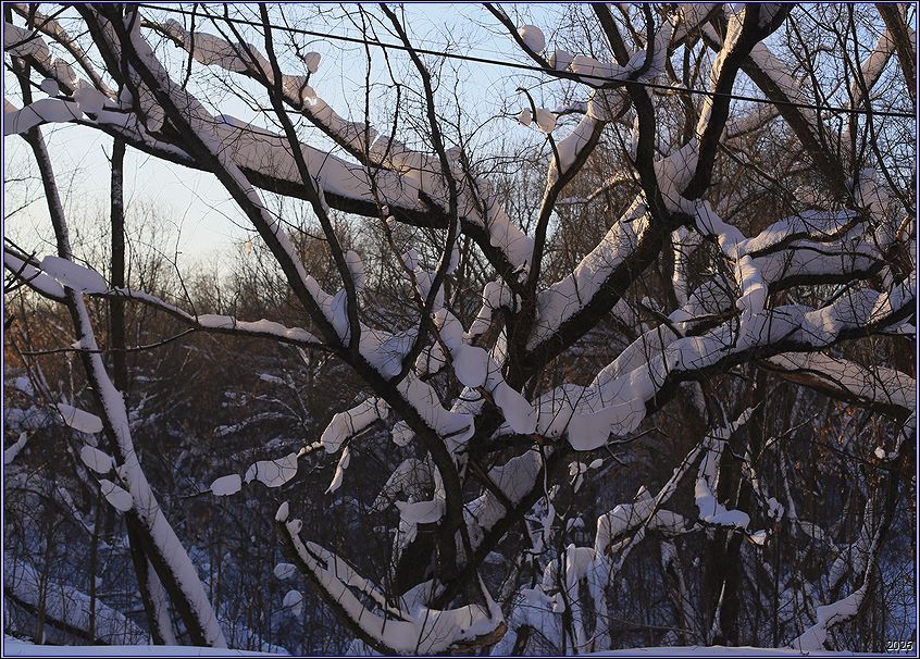 ���������� ������� ��������