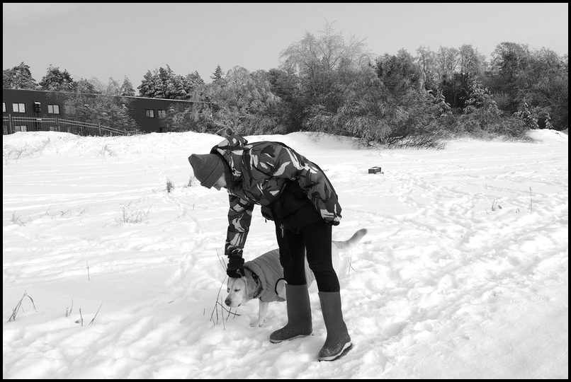 ���������� ������ ���.