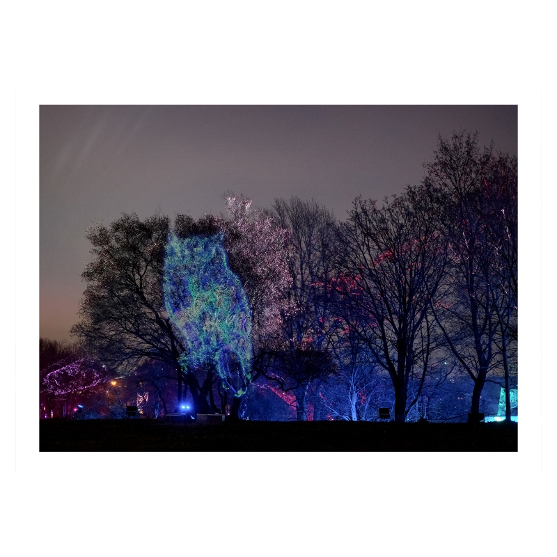 ���������� ����