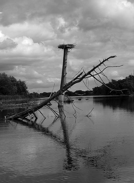 ���������� ������ �����