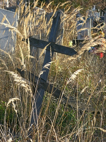 ���������� .