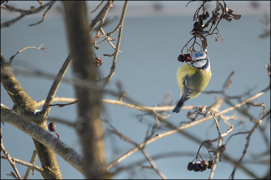 ���������� ������� ������