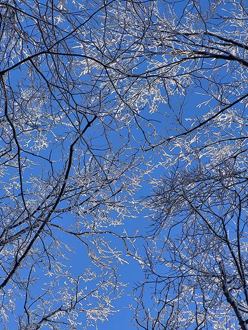 ���������� ����������� �������