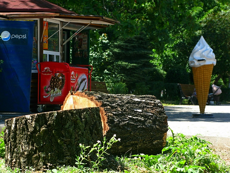 ���������� .