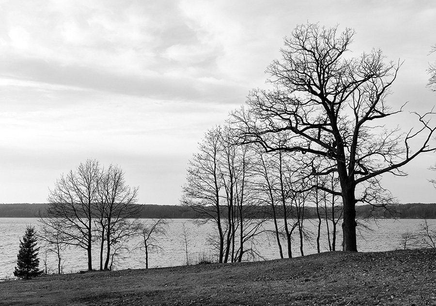 ���������� ���� �����