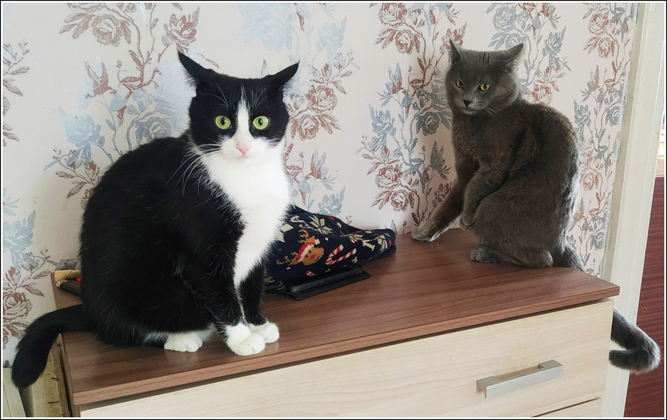 ���������� ����� ����� �������, ����� ����!...