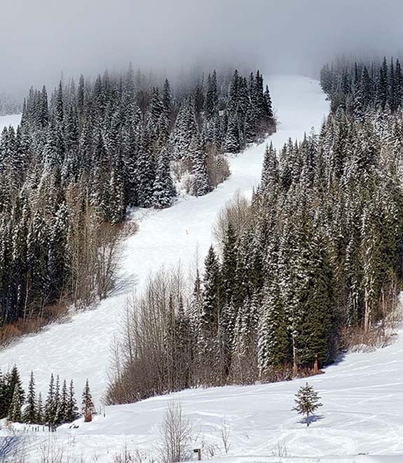 ���������� �����